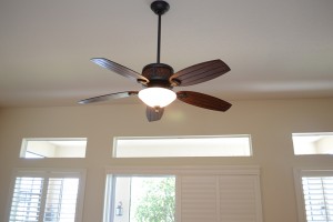 fan