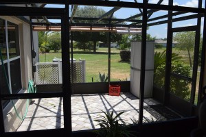 patio 6