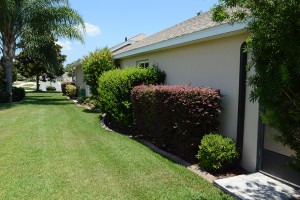 side yard